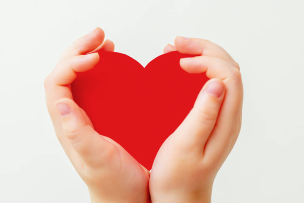 Closeup of paper heart in little hands of child on white background. Red heart in hands on white. - Photo, Image