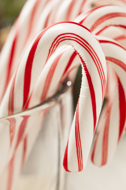 Festive Christmas Peppermint Candy Cane - Фото, зображення