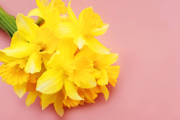 the bouquet of yellow nartsys on a pink background - Fotografie, Obrázek
