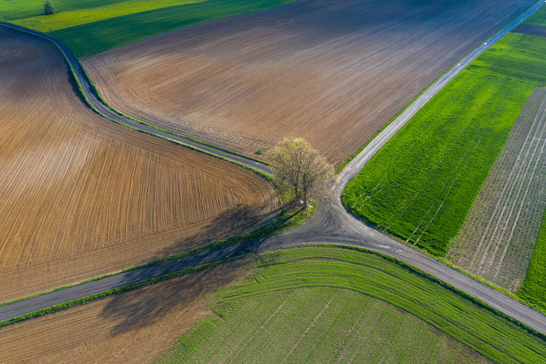 Ранняя весна воздушный пейзаж с полями Польши. Типичный польский пейзаж, сфотографированный сверху. Вид с воздуха на сельскохозяйственные поля
 - Фото, изображение