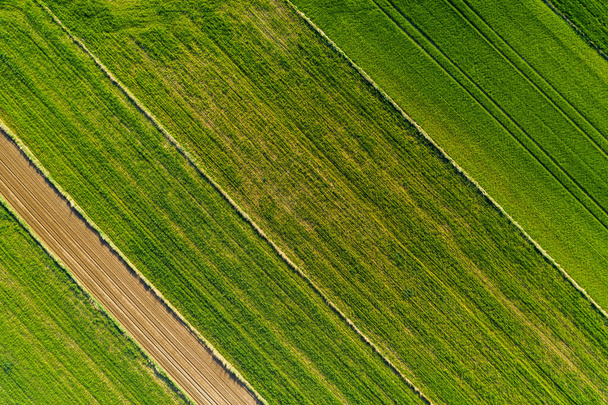 Early spring aerial landscape with fields of Poland. Typical polish landscape photographed from above. Aerial view of agricultural fields - Фото, зображення