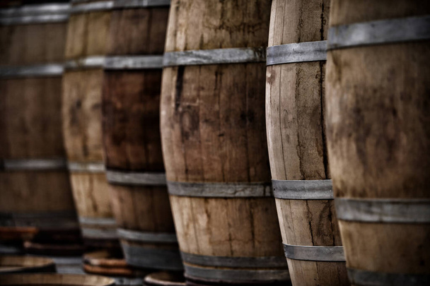 bodega con barriles de vino blanco, tinto, rosa, cerveza, whisky. vino y agricultura
 - Foto, imagen