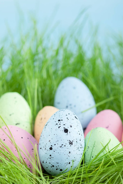 Colorful multi-colored Easter eggs lie on the green grass. Painted eggs on the lawn. - Photo, Image