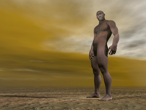 Male Hom erectus - 3D рендеринг
 - Фото, зображення