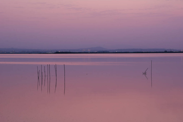 Zachód słońca na dużym jeziorze, z trzciny, zielony, złote kolory, spokojne wody, refleksje, długa ekspozycja - Zdjęcie, obraz