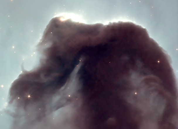 Nebulosa Cabeza de caballo
 - Foto, Imagen