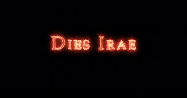 Tűzzel írt iraki halál. Hurok - Felvétel, videó
