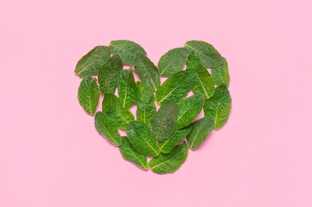 Fresh green leaves of mint, lemon balm, peppermint in the shape of heart on pink background top view. Mint leaf texture. Ecology natural layout. Flat lay Mint leaves pattern spearmint herbs nature - Photo, image