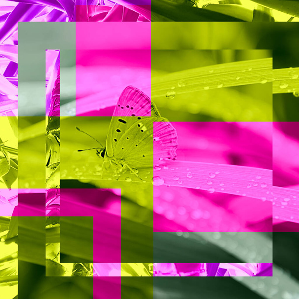 Collage zeitgenössischer Kunst. Ein Schmetterling sitzt auf einem Ast im Regenwald. Konzept Hintergrund, Landschaft, Insekten - Foto, Bild