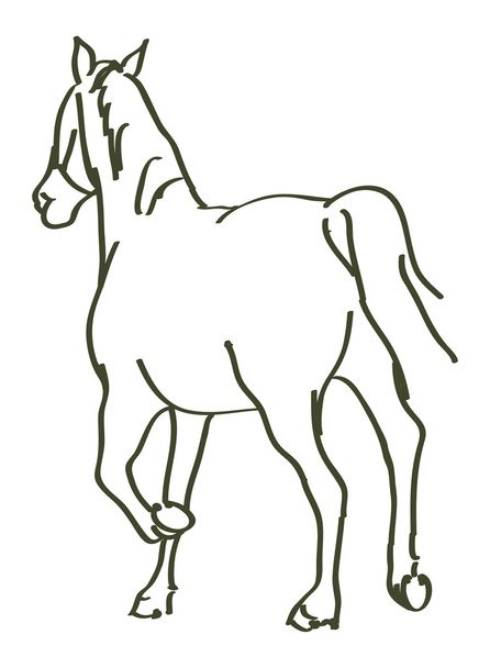Cavallo disegnato a mano
 - Vettoriali, immagini