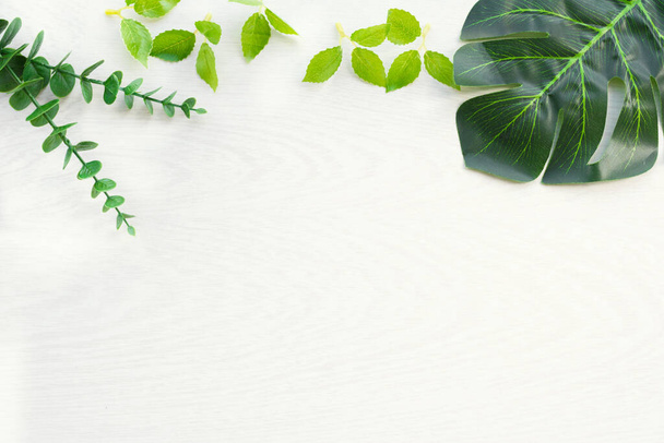 Nature background frame with green leaves for design elements, summer background. Sopy space - Foto, Imagen