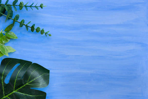 Nature blue background frame with green leaves for design elements, summer background. Sopy space - Φωτογραφία, εικόνα