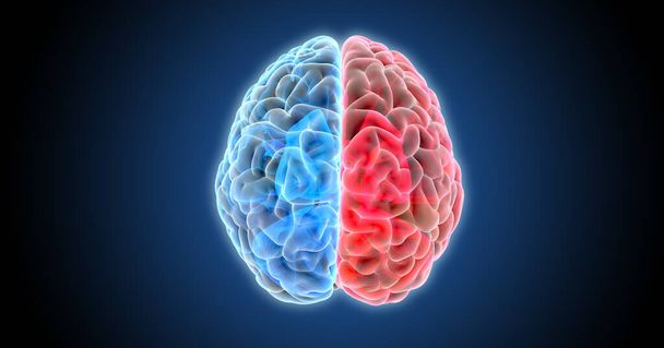 3Dレンダリング図人間の脳の青と赤の色のトーン半球X線トップビューテクスチャで隔離され、オブジェクトクリッピングパスに含まれる濃い青の背景に輝く - 写真・画像