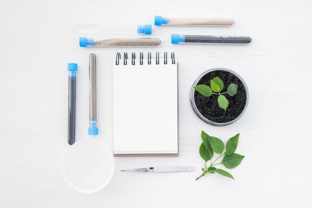 Various types of soil in the test tubes, green leaves of garden trees and blank page notepad with copy space on white table background. - Foto, Bild