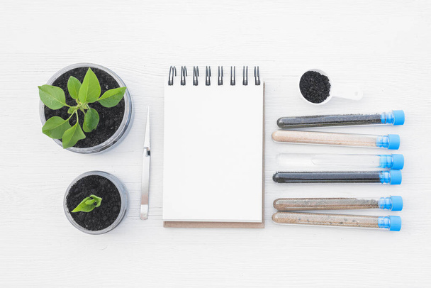 Various types of soil in the test tubes, green leaves of garden trees and blank page notepad with copy space on white table background. - Foto, Bild