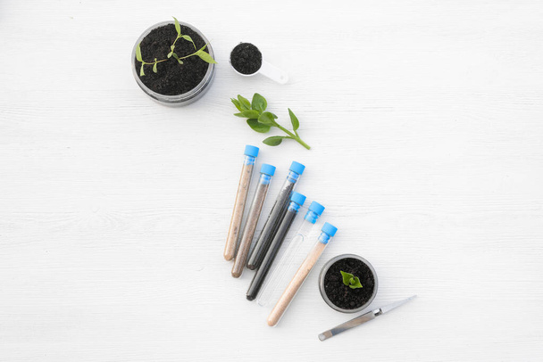 Samples of different types of soil in test tube and green plants in the jar on the table. Soil science concept. - Фото, изображение