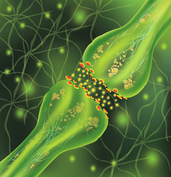 Signaling in the brain. Neural connections in the brain form thoughts, concept learning. Transmission of impulses in a living organism. Neural isolated on green background. Synapse and Neuron cells - Photo, Image
