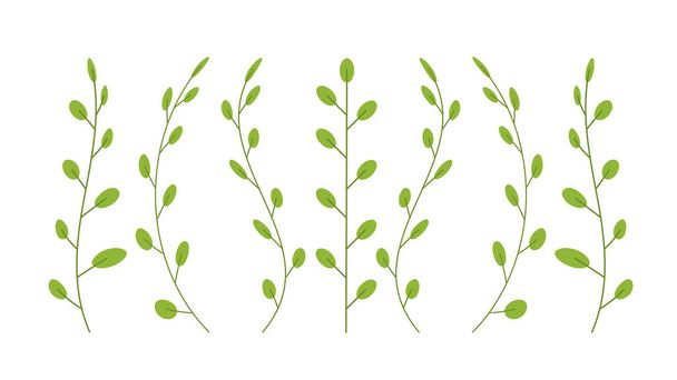βοτανική floral set πράσινα κλαδιά φυτών με φύλλα ρεαλιστική συλλογή βοτάνων οριζόντια - Διάνυσμα, εικόνα