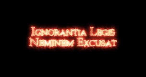 Ignorantia legis neminem excuse écrite avec feu. Boucle - Séquence, vidéo