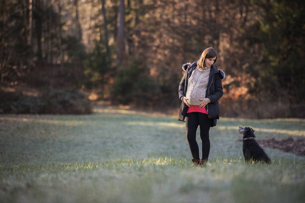 Grávida jovem mulher de pé fora no belo prado na borda da floresta de outono com seu cão preto olhando para ela com total atenção e carinho
. - Foto, Imagem
