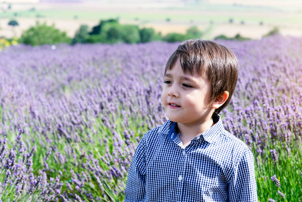 Selektiver Fokus kleiner Junge mit lächelndem Gesicht, der im Lavendelfeld steht, Portrait eines glücklichen Kindes, das im Freien mit verschwommenem Blumenhintergrund spielt, Kind, das im Sommer im Lavendelgarten Spaß hat. - Foto, Bild