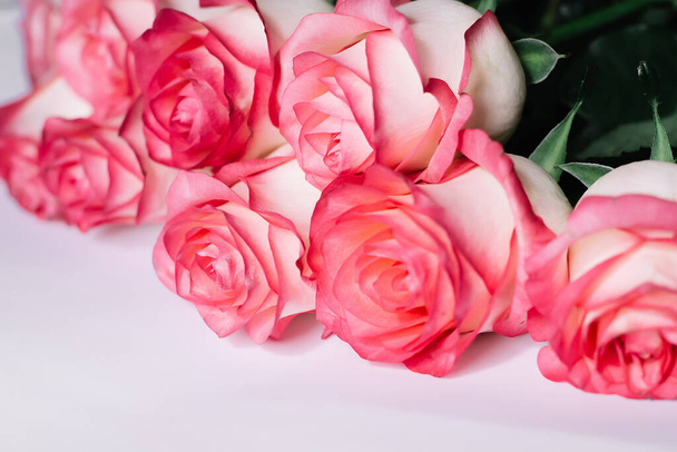 Piękny bukiet kwitnące długie łodygi różowe róże na białym tle.  - Zdjęcie, obraz
