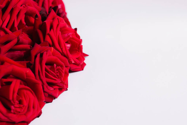 punaisia ruusuja valkoisella pohjalla - Valokuva, kuva