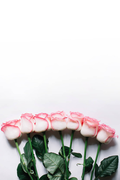 Прекрасний букет квітучих довгих рожевих троянд на білому тлі. Краєвид. Любов, кохання, кохання, Валентинів день, День матері. - Фото, зображення