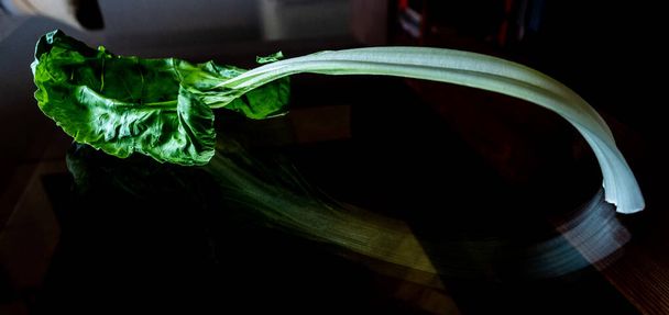 Feuille de chard.Feuille de chard. Légume comestible avec feuille verte et tige charnue blanche
. - Photo, image