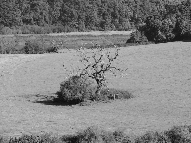 Kilátás a vidék közelében folyó Wye Chepstow, Uk fekete-fehér - Fotó, kép