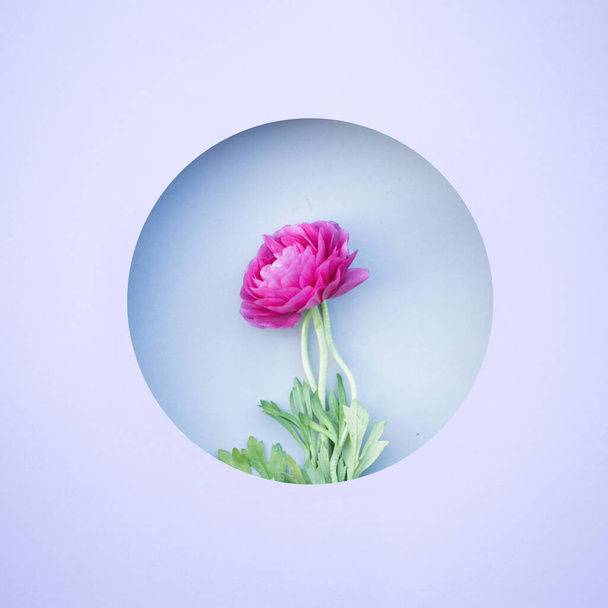 Krásný růžový květinový papír umělecké dílo - Fotografie, Obrázek