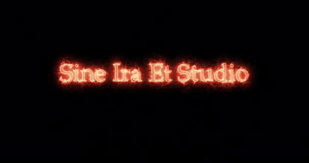Sine ira et studio, написанная огнем. Петля - Кадры, видео