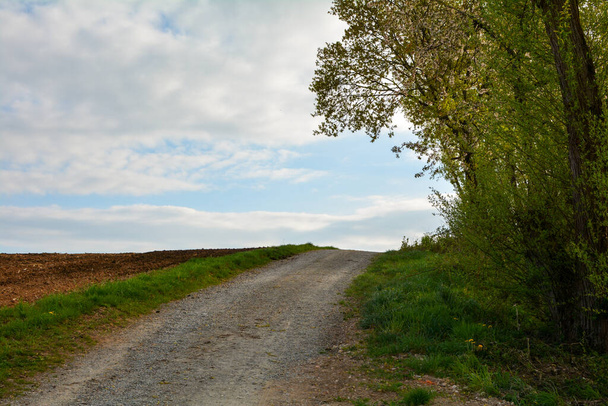 Uma estrada de terra entre um campo arado e uma árvore, com céu azul e espaço de cópia
 - Foto, Imagem