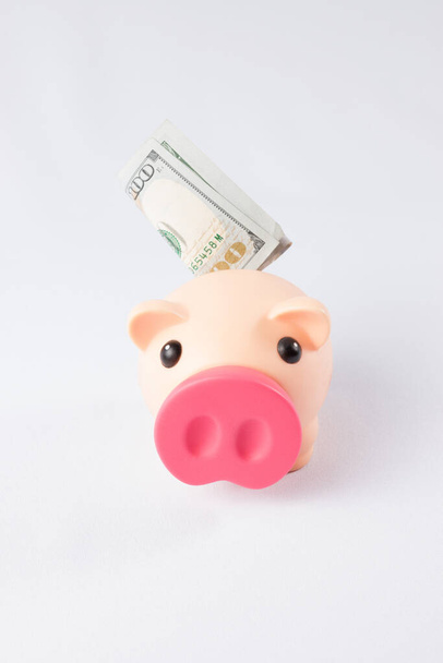 Pink pig piggy bank on a white background. 100 dollars stick out of the piggy bank - Foto, Imagem