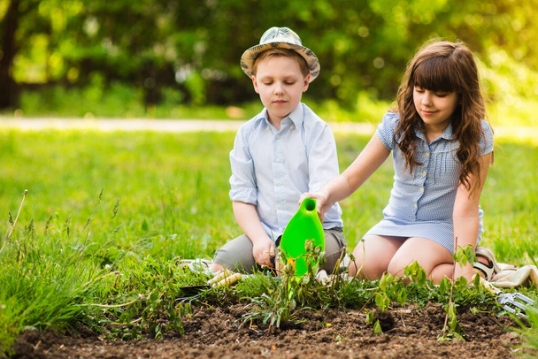 Garota jovem e garçons blong plantando flores no jardim de verão ao pôr do sol. Actividades de Verão
. - Foto, Imagem