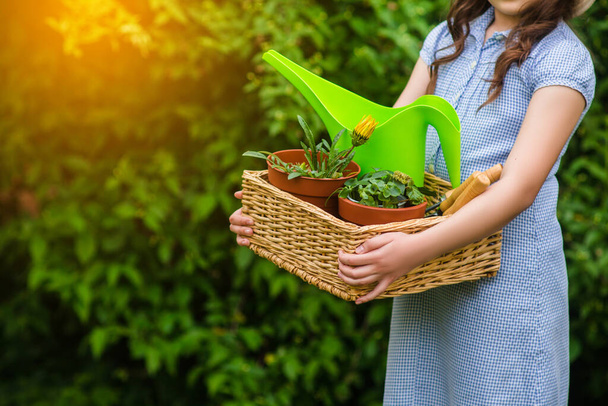 усміхнений мила дівчина садівник тримає кошик і садові інструменти в саду в сонячний день. Літня активність
 - Фото, зображення