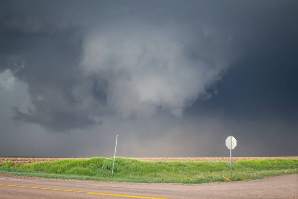 Un tornado in procinto di formarsi sotto un temporale di supercelle. Rotolamenti di polvere sulla prateria
. - Foto, immagini