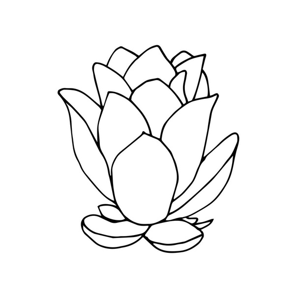 Zwarte en witte Lotus bloem illustratie. Vector illustratie geïsoleerd op witte achtergrond - Vector, afbeelding
