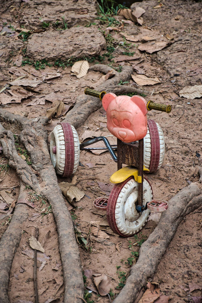 Een oude, geruïneerde eenzame en linker en kind driewieler met een roze berenkop tussen de wortels van een spung boom in Cambodja - Foto, afbeelding