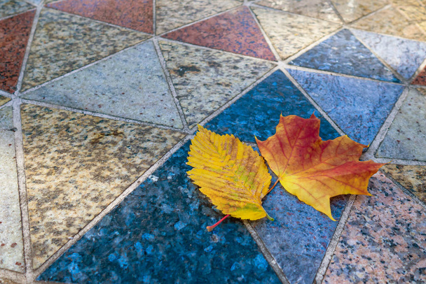 Gefallene Herbstblätter auf einer dekorativ polierten Fliese an einem sonnigen Tag. Natürliche dreieckige Fliese aus Granit in verschiedenen Farben mit gelben Blättern aus Ahorn, Hasel oder Erle. Herbsttag - Foto, Bild