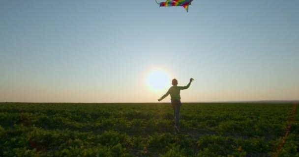 Ένα αγόρι παίζει με έναν χαρταετό στον ουρανό το ηλιοβασίλεμα. 4K - Πλάνα, βίντεο