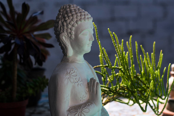 Budda ozdabiający ogród domem z kilkoma roślinami. - Zdjęcie, obraz