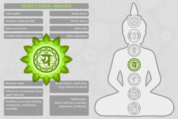 Chakras símbolos con descripción de significados infografía
 - Vector, imagen