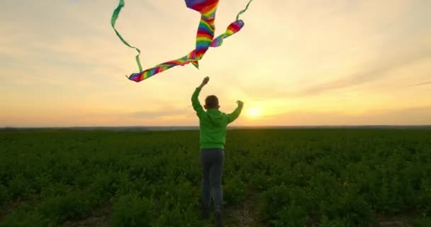 Ein Junge mit einem Drachen in der Hand rennt über das Feld. Sonnenuntergang. 4K - Filmmaterial, Video