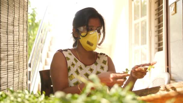 Covid19 Corona virüsü salgını sırasında Ispanak yapraklarını toplayan maske takan ve güvenlik gözlüğü takan Güney Hintli bir kadının yakın çekimi. - Video, Çekim