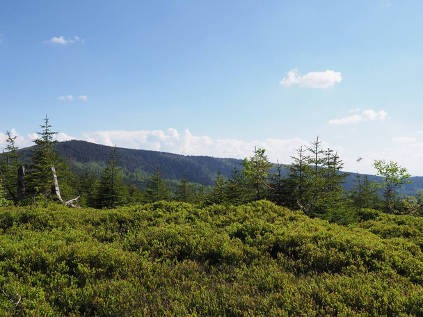 Beskids Mountains bereik met bos in de buurt van Barania berg boven europese stad Szczyrk in Polen, heldere blauwe hemel in 2019 warme zonnige lentedag in juni. - Foto, afbeelding