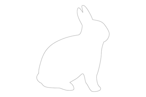 weißes Kaninchen auf weißem Hintergrund - Foto, Bild