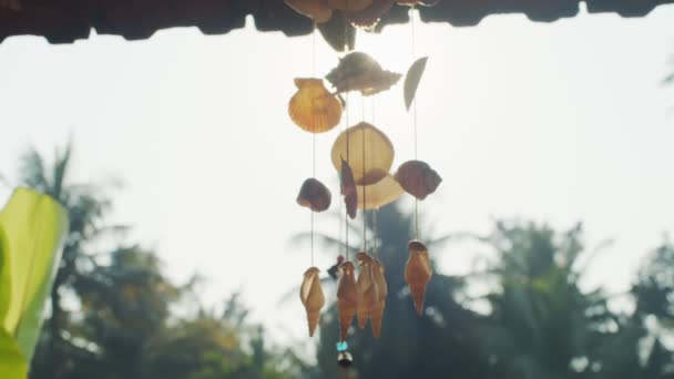 Boho wind chime trembling on wind outdoors on white sky background slow motion. Tropical seashell decoration souvenir hanging under roof by sea ocean copy space. Travel memory tourism design - Footage, Video