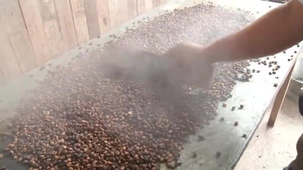 Man working with coffee beans - Video