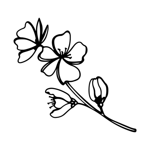 Digital art cute contour doodle flowering peach branch. Print for fabrics, packaging paper, packaging, covers, cards, invitation cards, posters, banners, web design. - Photo, Image